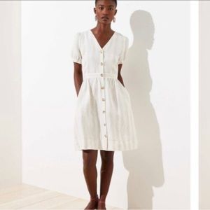 Loft Plus Puff Sleeve Shirt Dress